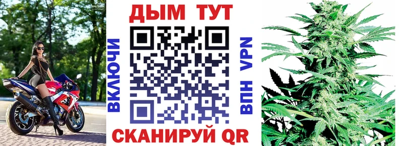Шишки марихуана марихуана  Купить  Томмот 